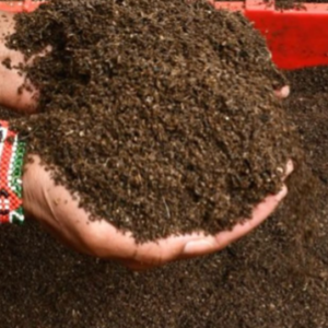 Animal Feeds (Insect Flours and Meals)