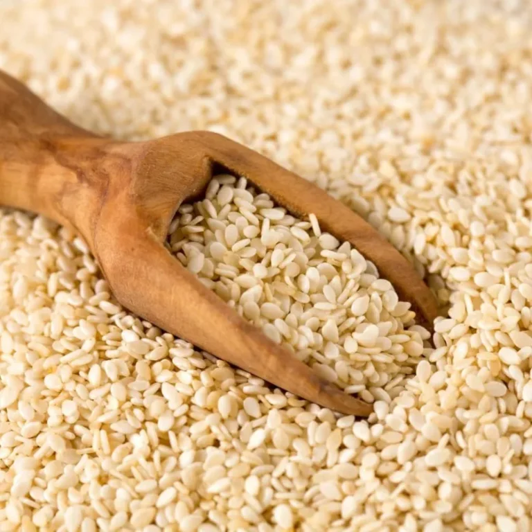 Sesame Seeds